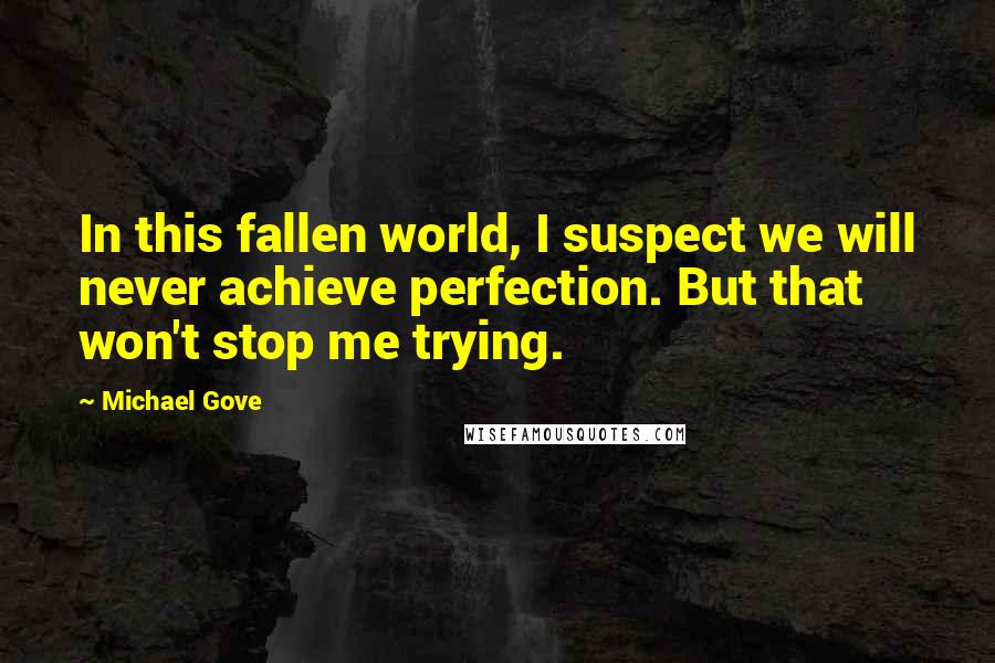 Michael Gove Quotes: In this fallen world, I suspect we will never achieve perfection. But that won't stop me trying.