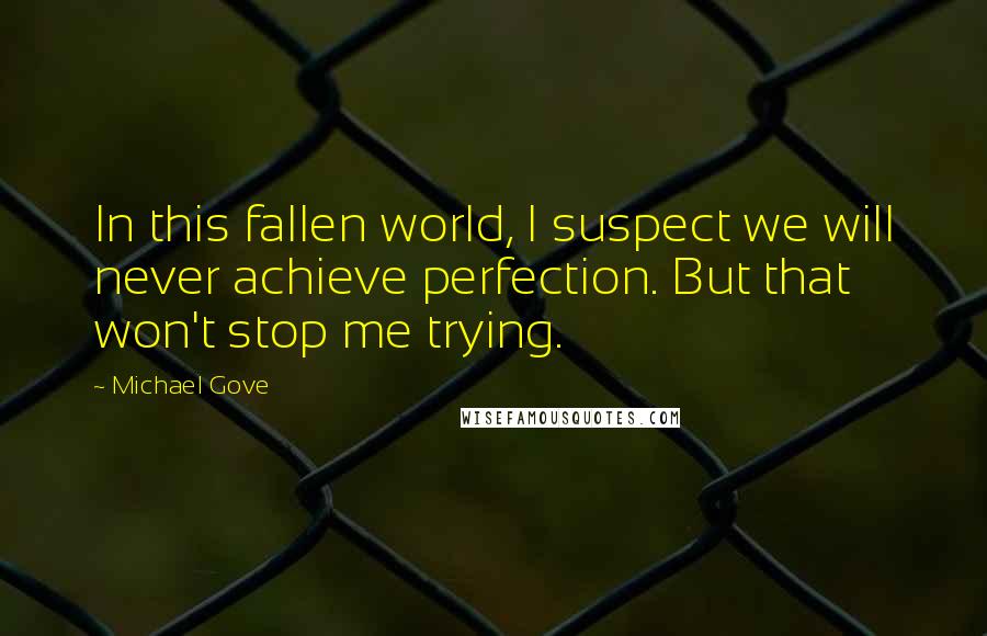 Michael Gove Quotes: In this fallen world, I suspect we will never achieve perfection. But that won't stop me trying.