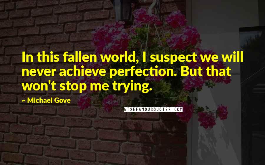 Michael Gove Quotes: In this fallen world, I suspect we will never achieve perfection. But that won't stop me trying.