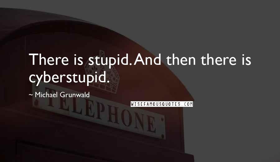 Michael Grunwald Quotes: There is stupid. And then there is cyberstupid.