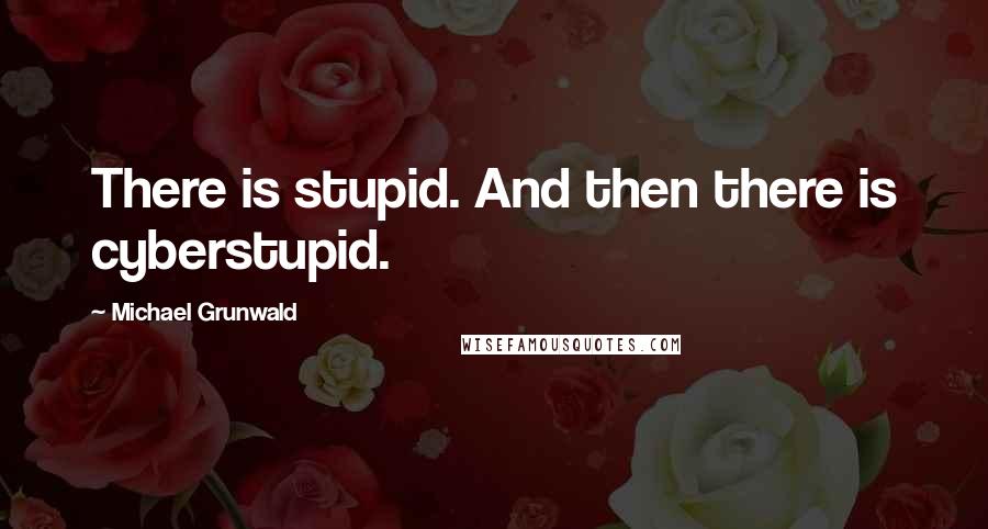 Michael Grunwald Quotes: There is stupid. And then there is cyberstupid.