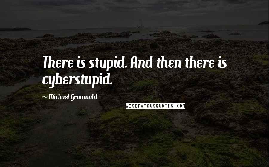 Michael Grunwald Quotes: There is stupid. And then there is cyberstupid.