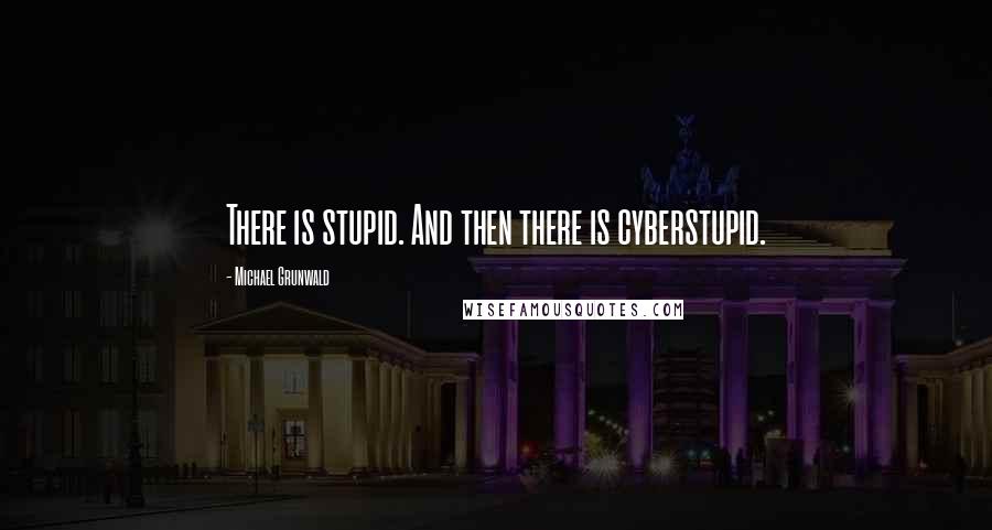 Michael Grunwald Quotes: There is stupid. And then there is cyberstupid.