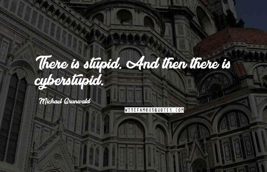 Michael Grunwald Quotes: There is stupid. And then there is cyberstupid.