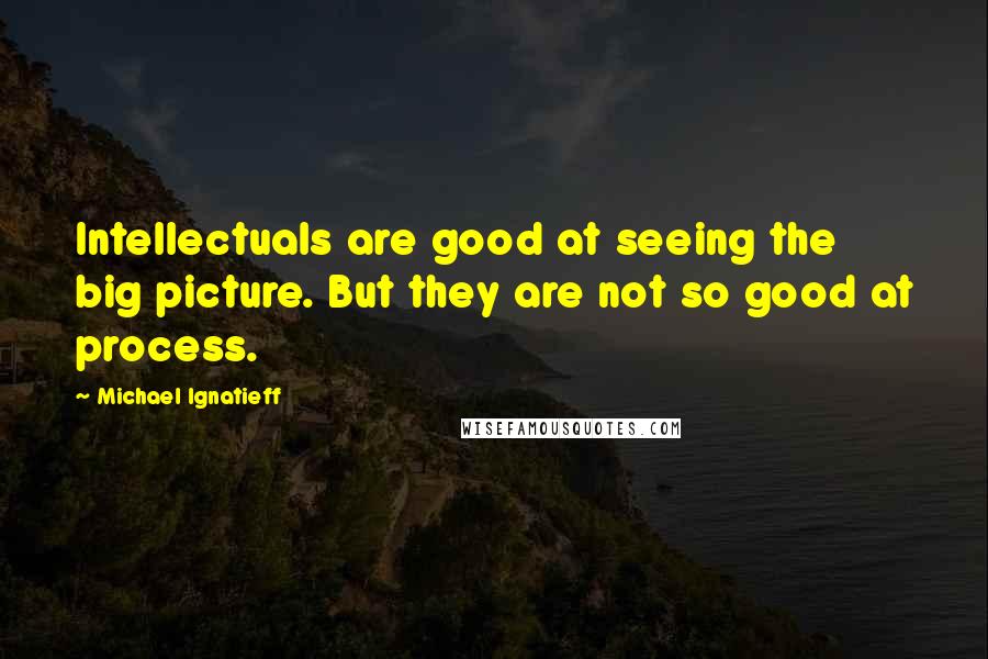 Michael Ignatieff Quotes: Intellectuals are good at seeing the big picture. But they are not so good at process.