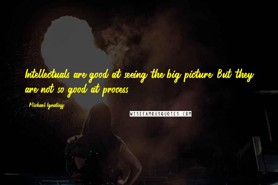 Michael Ignatieff Quotes: Intellectuals are good at seeing the big picture. But they are not so good at process.