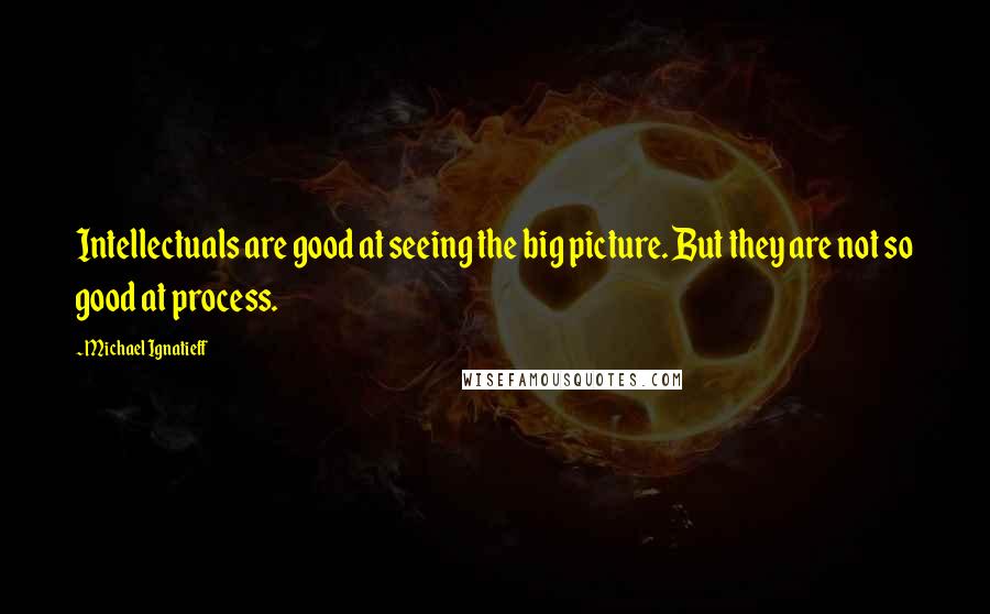 Michael Ignatieff Quotes: Intellectuals are good at seeing the big picture. But they are not so good at process.