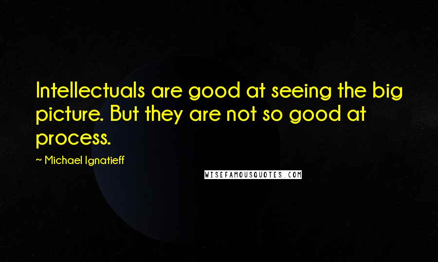 Michael Ignatieff Quotes: Intellectuals are good at seeing the big picture. But they are not so good at process.