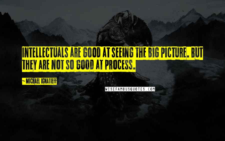 Michael Ignatieff Quotes: Intellectuals are good at seeing the big picture. But they are not so good at process.