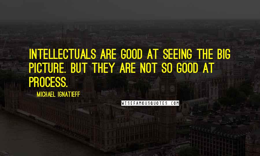 Michael Ignatieff Quotes: Intellectuals are good at seeing the big picture. But they are not so good at process.