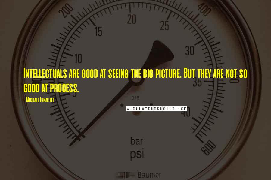 Michael Ignatieff Quotes: Intellectuals are good at seeing the big picture. But they are not so good at process.