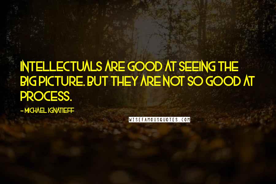 Michael Ignatieff Quotes: Intellectuals are good at seeing the big picture. But they are not so good at process.