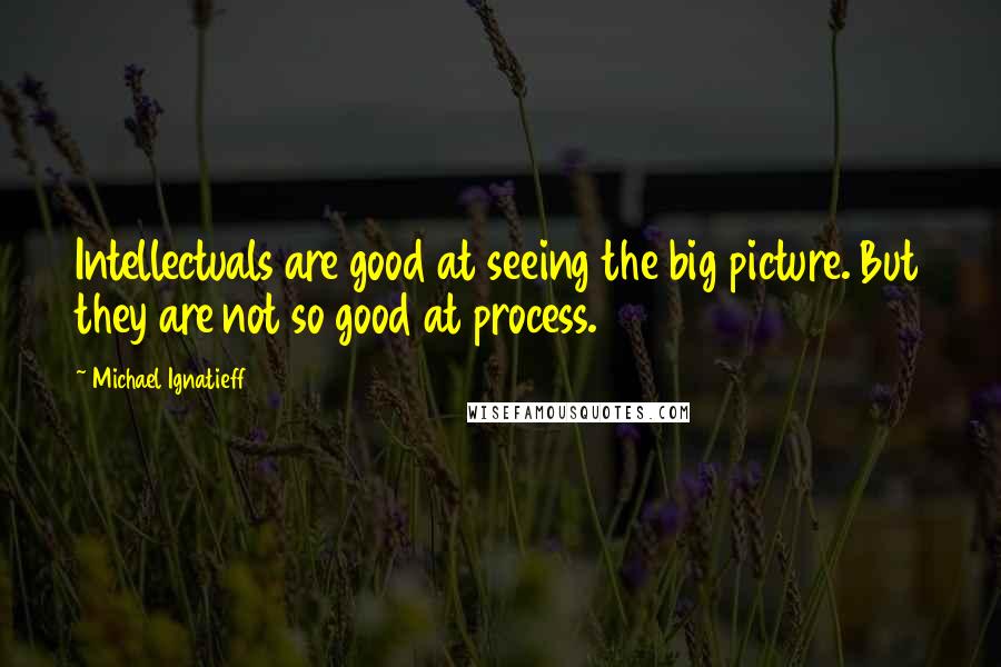 Michael Ignatieff Quotes: Intellectuals are good at seeing the big picture. But they are not so good at process.