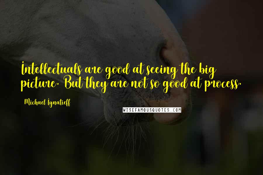 Michael Ignatieff Quotes: Intellectuals are good at seeing the big picture. But they are not so good at process.