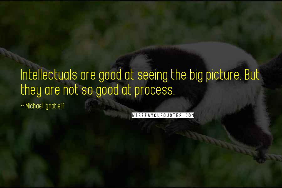 Michael Ignatieff Quotes: Intellectuals are good at seeing the big picture. But they are not so good at process.