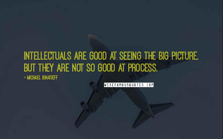 Michael Ignatieff Quotes: Intellectuals are good at seeing the big picture. But they are not so good at process.