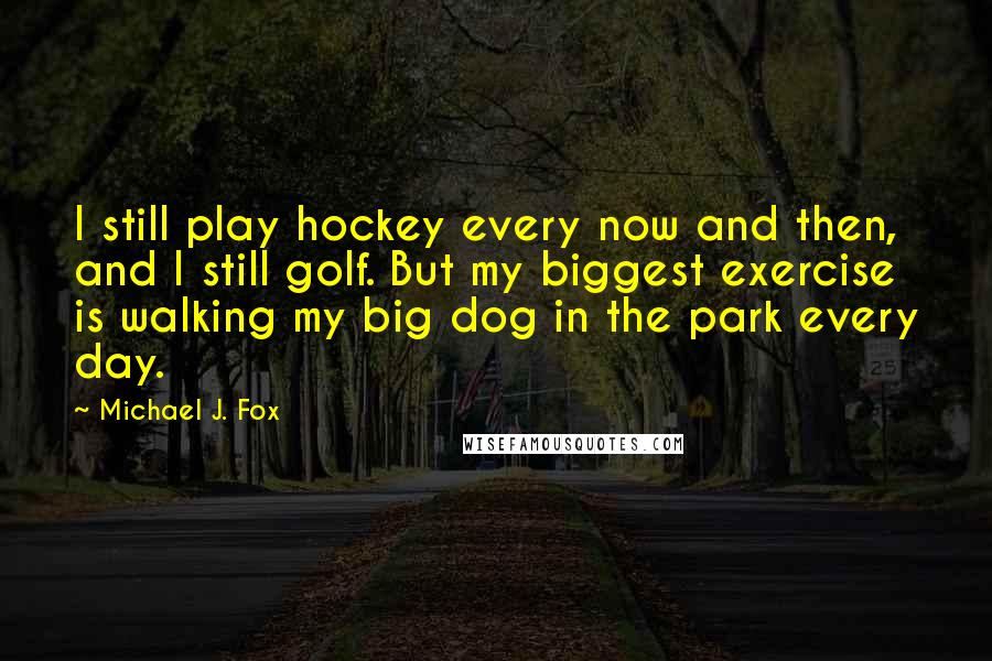 Michael J. Fox Quotes: I still play hockey every now and then, and I still golf. But my biggest exercise is walking my big dog in the park every day.