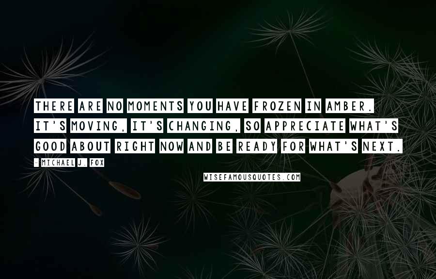 Michael J. Fox Quotes: There are no moments you have frozen in amber. It's moving, it's changing, so appreciate what's good about right now and be ready for what's next.