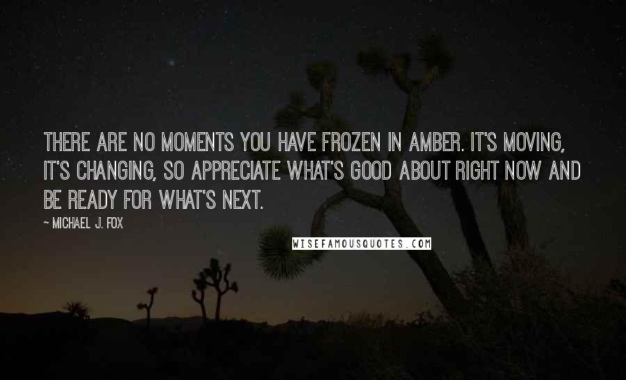 Michael J. Fox Quotes: There are no moments you have frozen in amber. It's moving, it's changing, so appreciate what's good about right now and be ready for what's next.