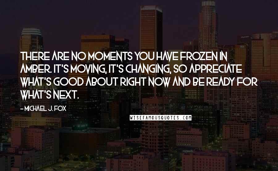 Michael J. Fox Quotes: There are no moments you have frozen in amber. It's moving, it's changing, so appreciate what's good about right now and be ready for what's next.