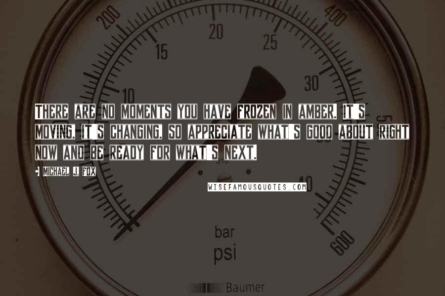 Michael J. Fox Quotes: There are no moments you have frozen in amber. It's moving, it's changing, so appreciate what's good about right now and be ready for what's next.