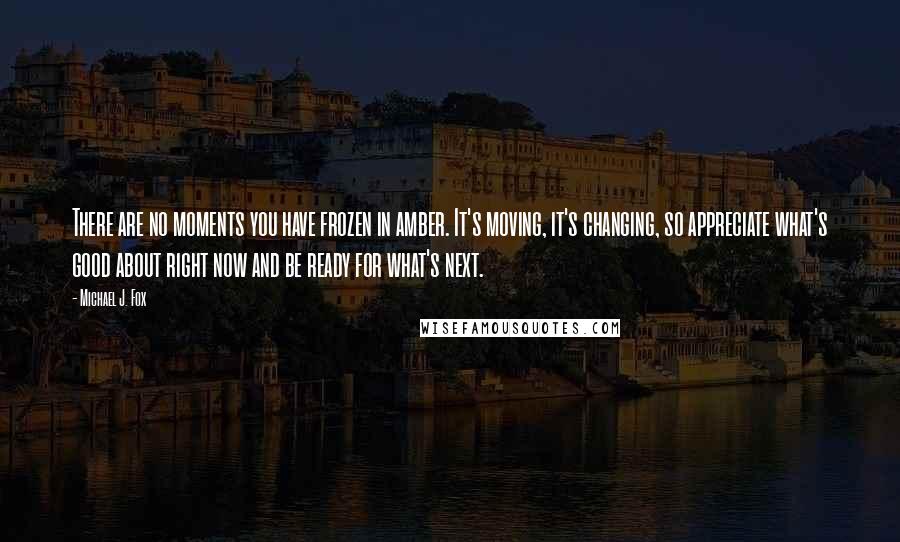 Michael J. Fox Quotes: There are no moments you have frozen in amber. It's moving, it's changing, so appreciate what's good about right now and be ready for what's next.