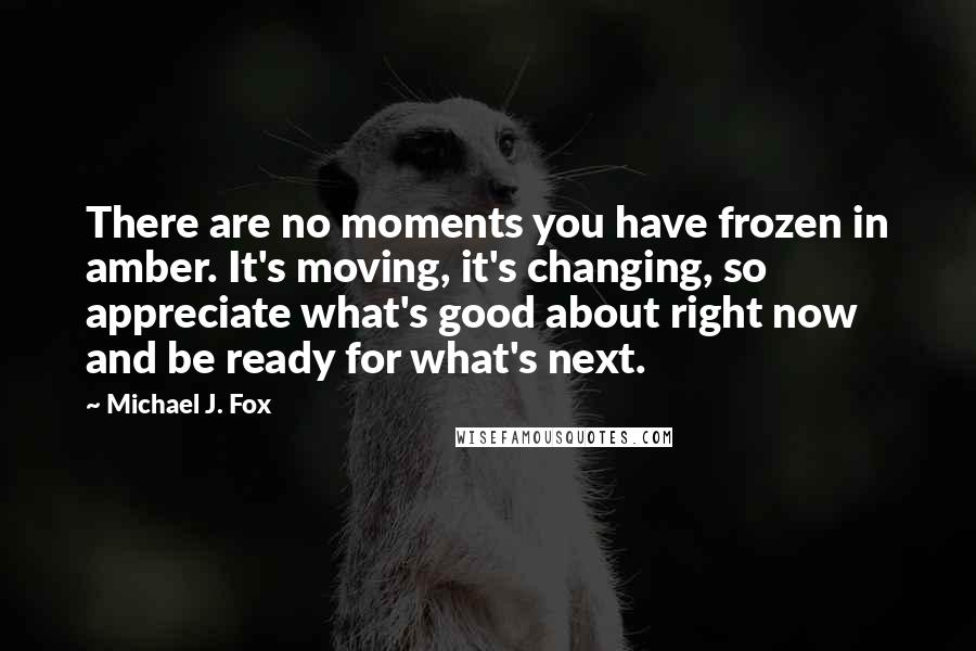 Michael J. Fox Quotes: There are no moments you have frozen in amber. It's moving, it's changing, so appreciate what's good about right now and be ready for what's next.