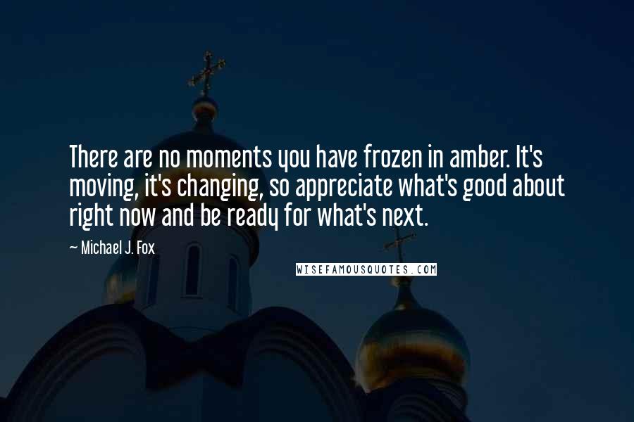 Michael J. Fox Quotes: There are no moments you have frozen in amber. It's moving, it's changing, so appreciate what's good about right now and be ready for what's next.