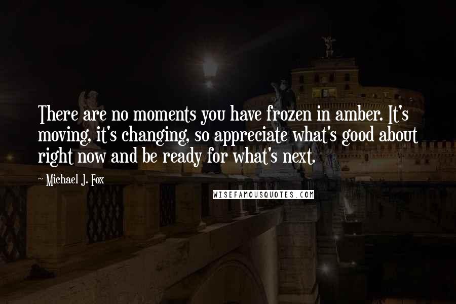 Michael J. Fox Quotes: There are no moments you have frozen in amber. It's moving, it's changing, so appreciate what's good about right now and be ready for what's next.