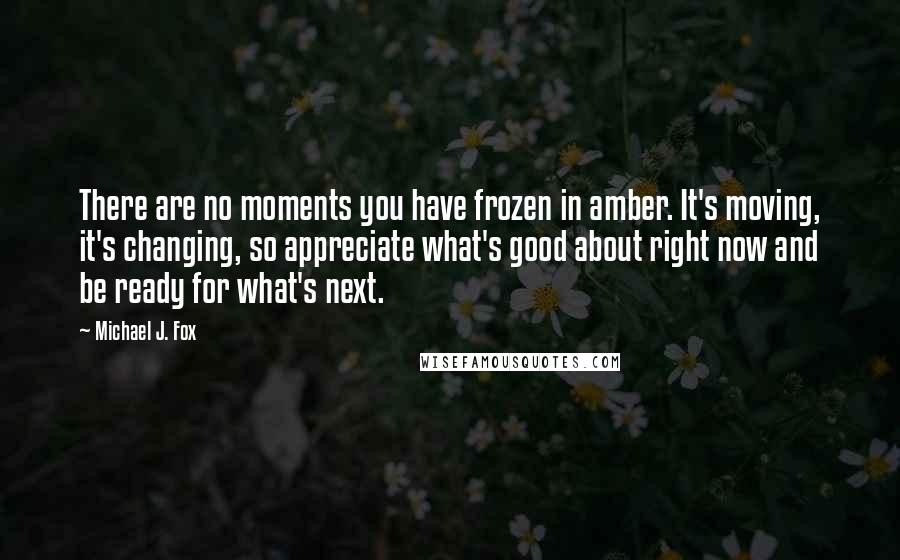 Michael J. Fox Quotes: There are no moments you have frozen in amber. It's moving, it's changing, so appreciate what's good about right now and be ready for what's next.