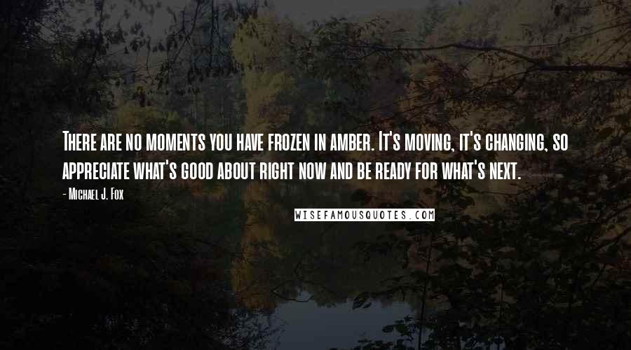 Michael J. Fox Quotes: There are no moments you have frozen in amber. It's moving, it's changing, so appreciate what's good about right now and be ready for what's next.