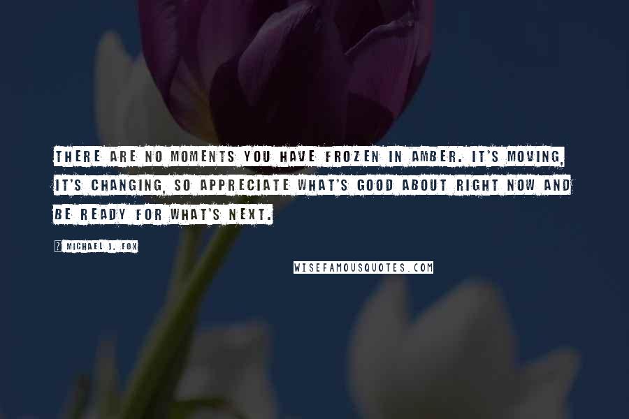 Michael J. Fox Quotes: There are no moments you have frozen in amber. It's moving, it's changing, so appreciate what's good about right now and be ready for what's next.