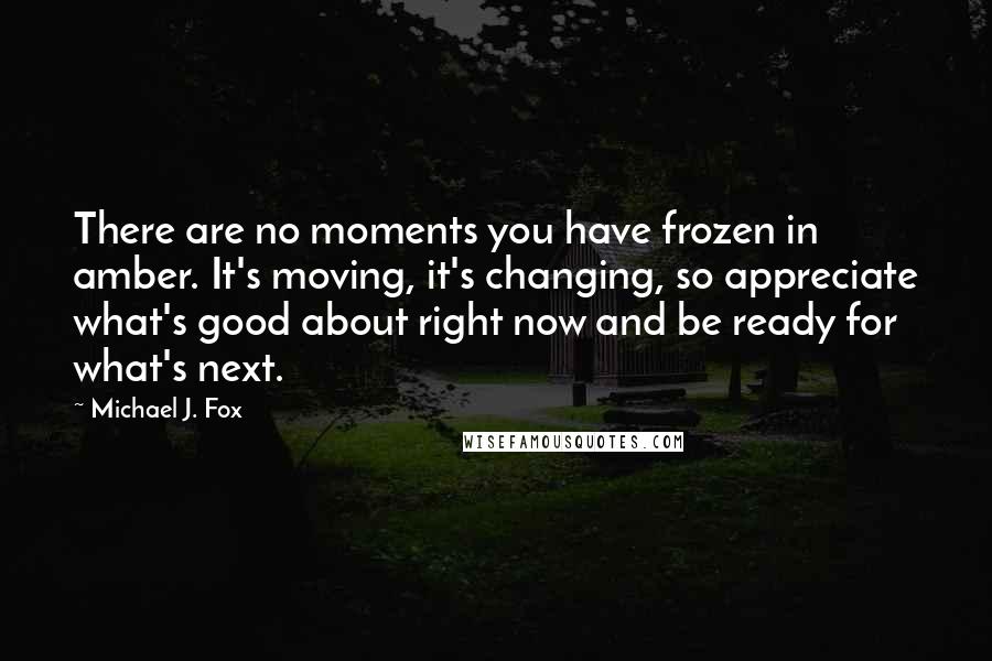 Michael J. Fox Quotes: There are no moments you have frozen in amber. It's moving, it's changing, so appreciate what's good about right now and be ready for what's next.