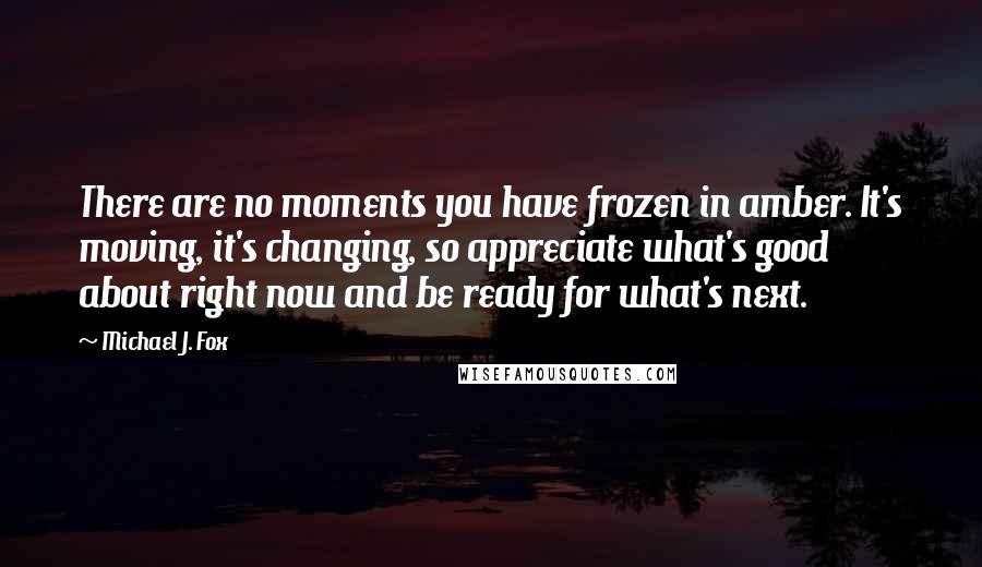 Michael J. Fox Quotes: There are no moments you have frozen in amber. It's moving, it's changing, so appreciate what's good about right now and be ready for what's next.