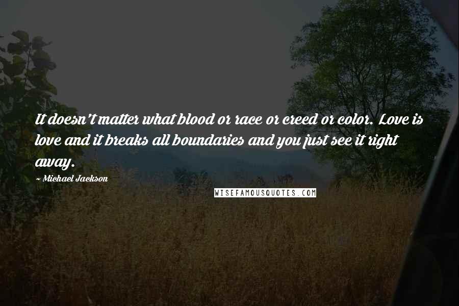 Michael Jackson Quotes: It doesn't matter what blood or race or creed or color. Love is love and it breaks all boundaries and you just see it right away.