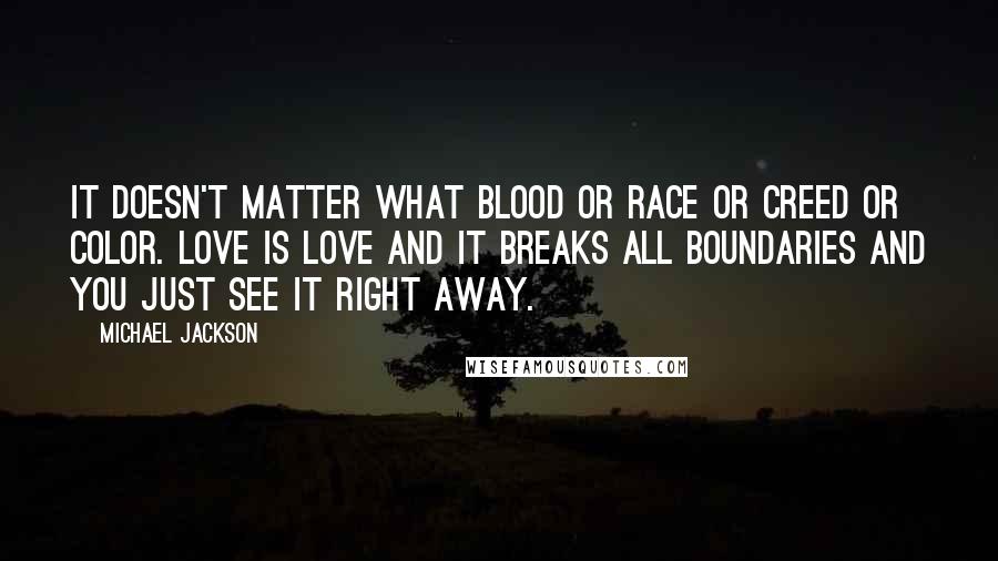 Michael Jackson Quotes: It doesn't matter what blood or race or creed or color. Love is love and it breaks all boundaries and you just see it right away.