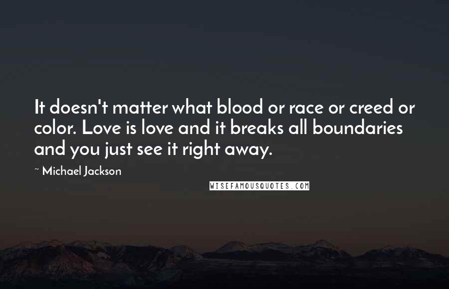 Michael Jackson Quotes: It doesn't matter what blood or race or creed or color. Love is love and it breaks all boundaries and you just see it right away.