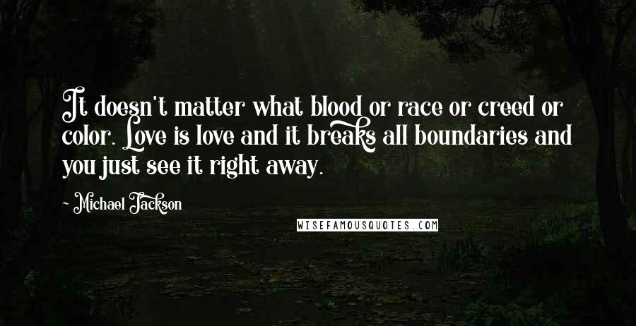 Michael Jackson Quotes: It doesn't matter what blood or race or creed or color. Love is love and it breaks all boundaries and you just see it right away.
