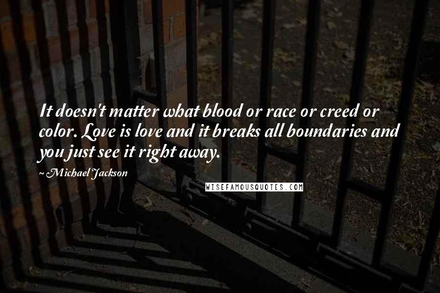 Michael Jackson Quotes: It doesn't matter what blood or race or creed or color. Love is love and it breaks all boundaries and you just see it right away.