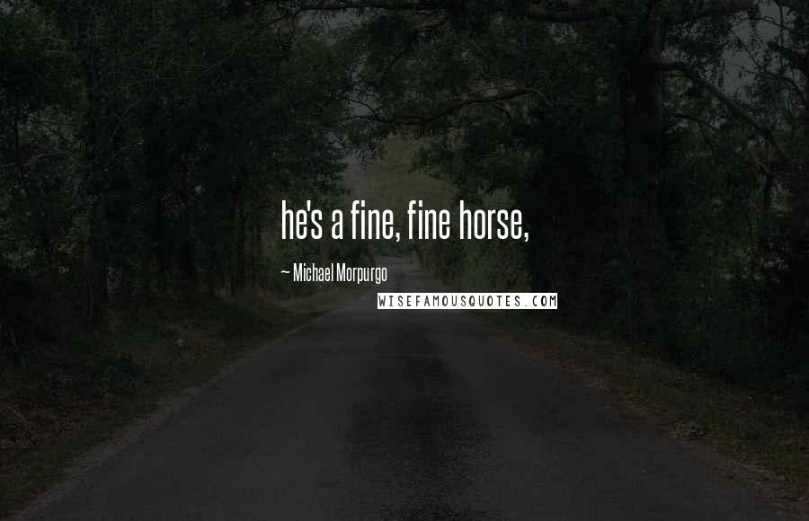 Michael Morpurgo Quotes: he's a fine, fine horse,