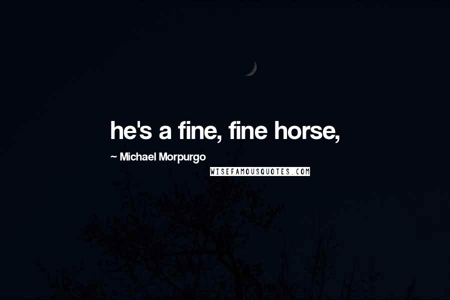 Michael Morpurgo Quotes: he's a fine, fine horse,