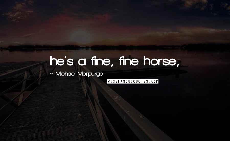 Michael Morpurgo Quotes: he's a fine, fine horse,