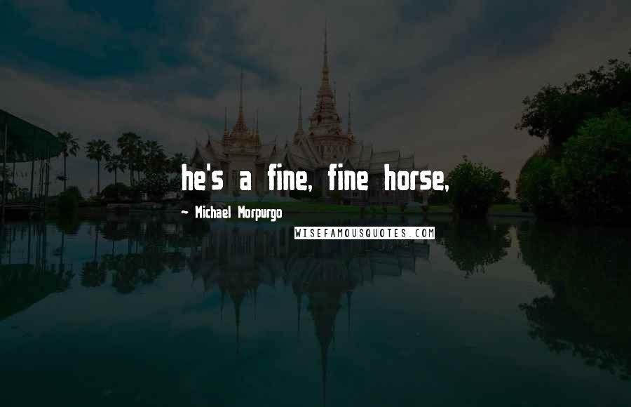 Michael Morpurgo Quotes: he's a fine, fine horse,