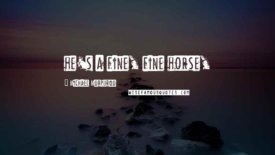 Michael Morpurgo Quotes: he's a fine, fine horse,