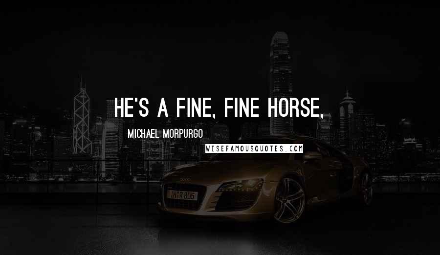 Michael Morpurgo Quotes: he's a fine, fine horse,