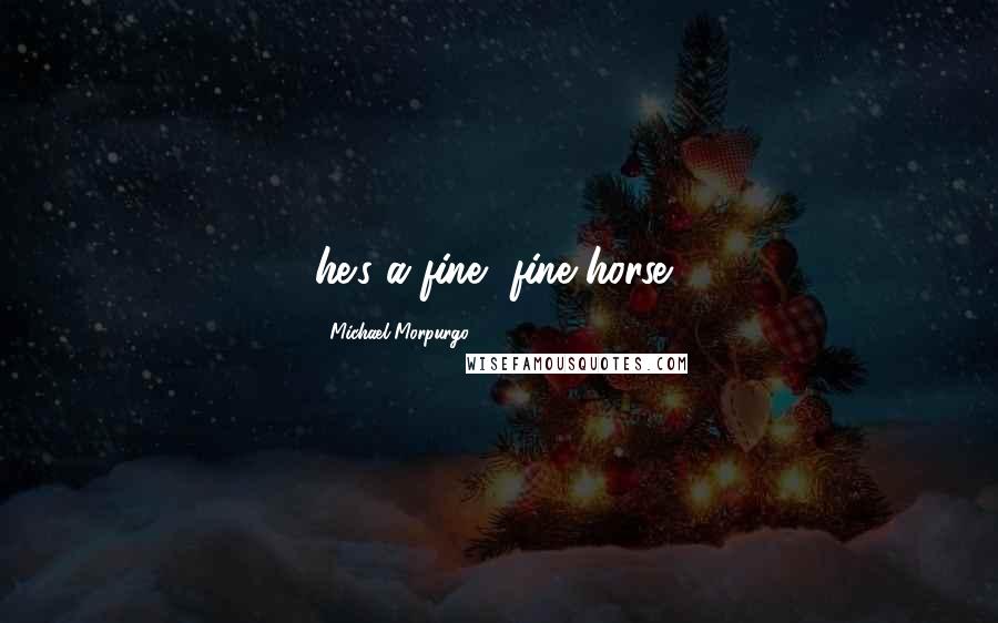Michael Morpurgo Quotes: he's a fine, fine horse,