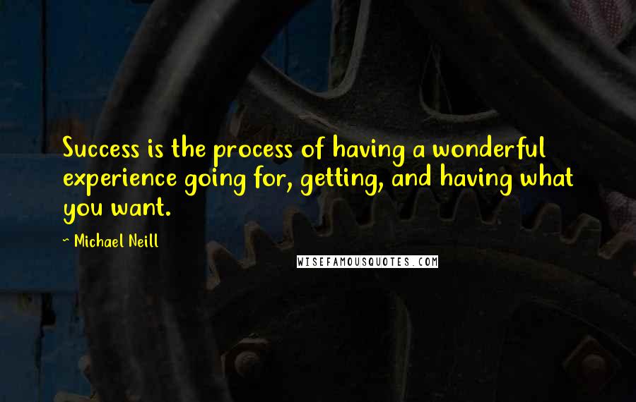 Michael Neill Quotes: Success is the process of having a wonderful experience going for, getting, and having what you want.