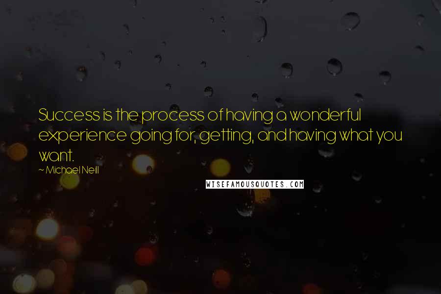Michael Neill Quotes: Success is the process of having a wonderful experience going for, getting, and having what you want.