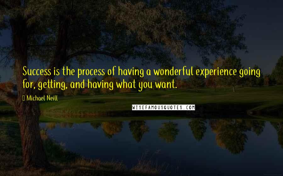 Michael Neill Quotes: Success is the process of having a wonderful experience going for, getting, and having what you want.