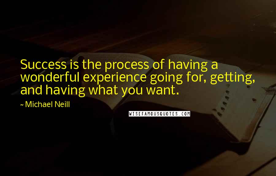 Michael Neill Quotes: Success is the process of having a wonderful experience going for, getting, and having what you want.